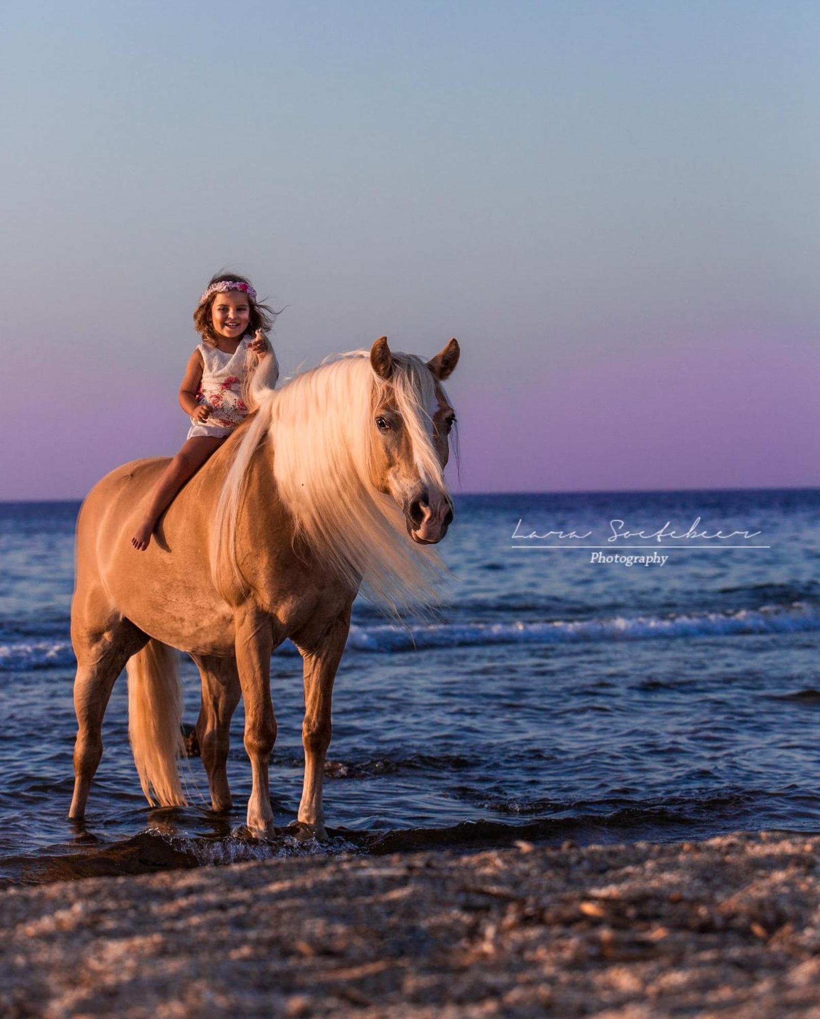 Arion Stables & Apartments Херсонисос Екстериор снимка